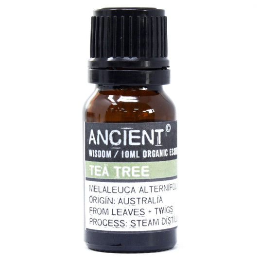 Aceite esencial de Árbol de té para aromaterapia y bienestar